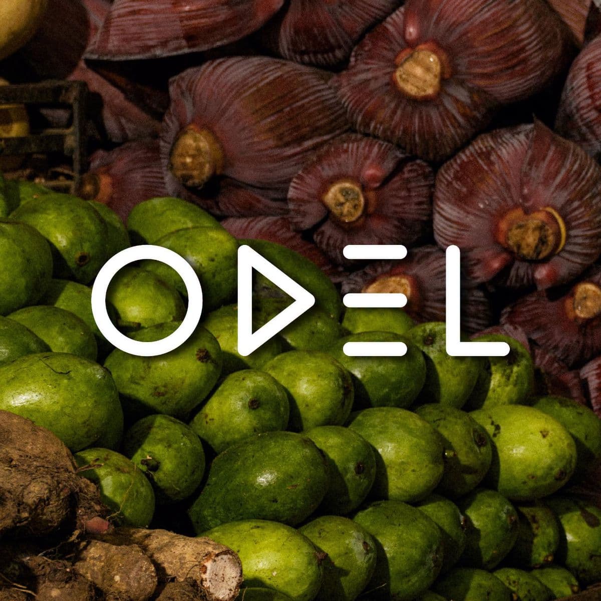 ODEL