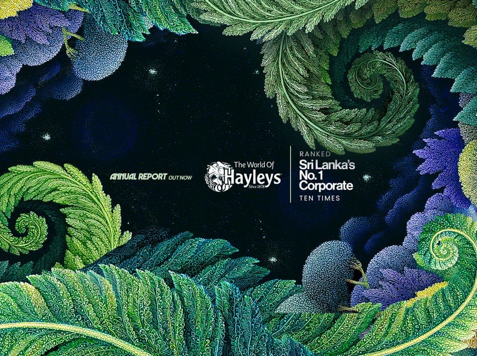 Hayleys PLC photo 1