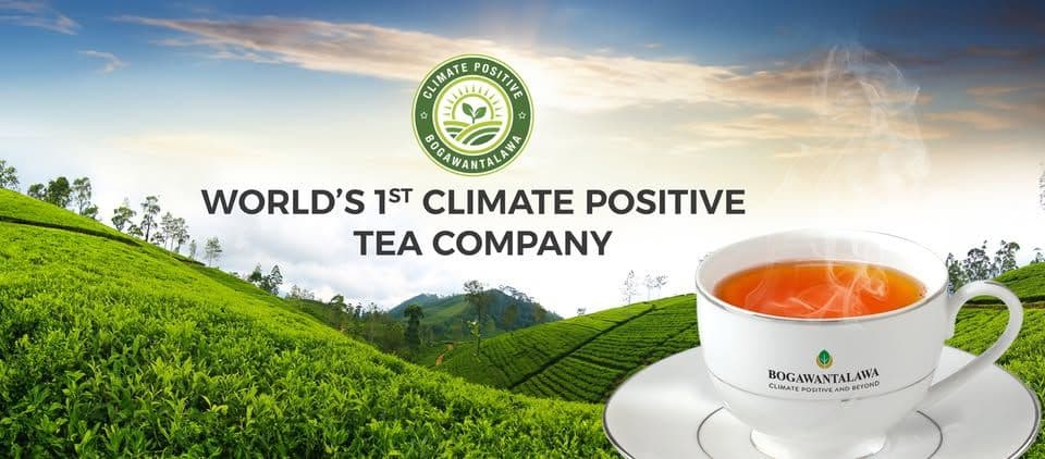Bogawantalawa Tea